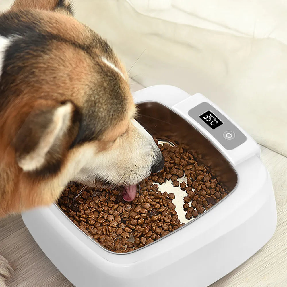 Pet Thermal Feeder