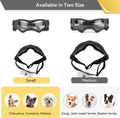 Protective Glasses for Dogs