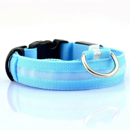 Pet collar that glows in the dark