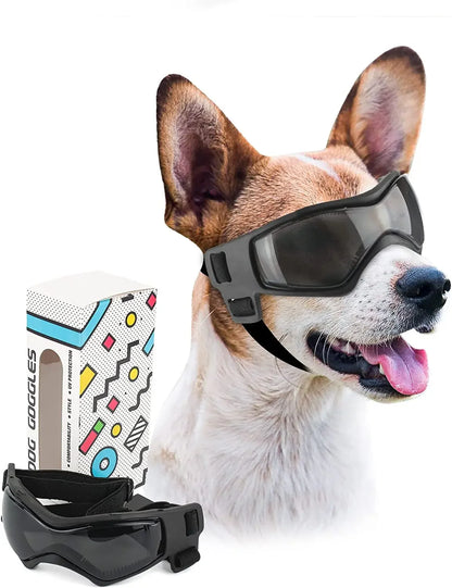 Protective Glasses for Dogs