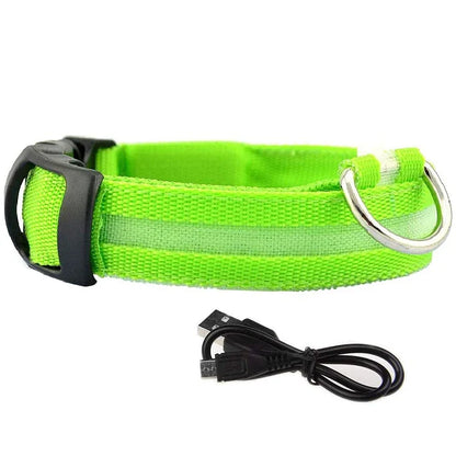 Pet collar that glows in the dark