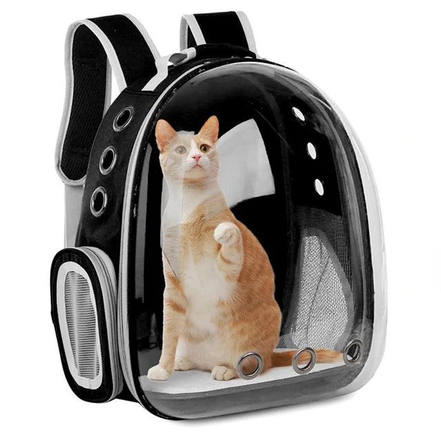 Pet Backpack