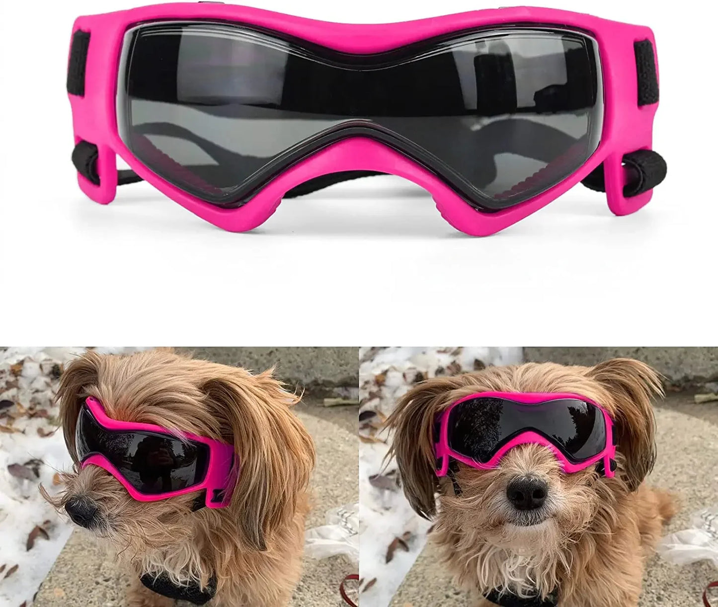 Protective Glasses for Dogs