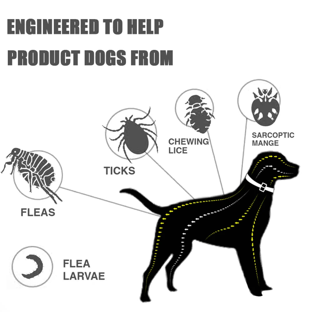 8 Month Protection Flea & Tick Collar Insect Prevention