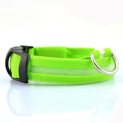 Pet collar that glows in the dark