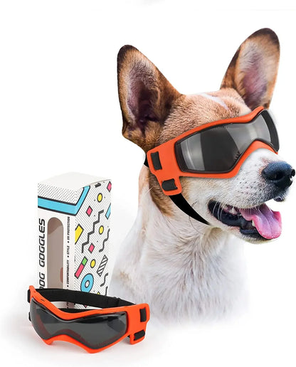 Protective Glasses for Dogs